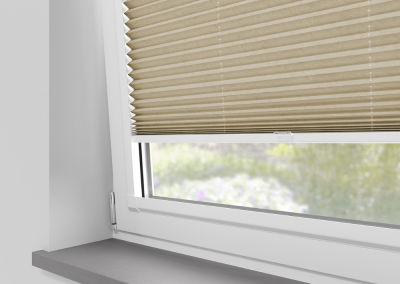 Window with beige pleated blinds
