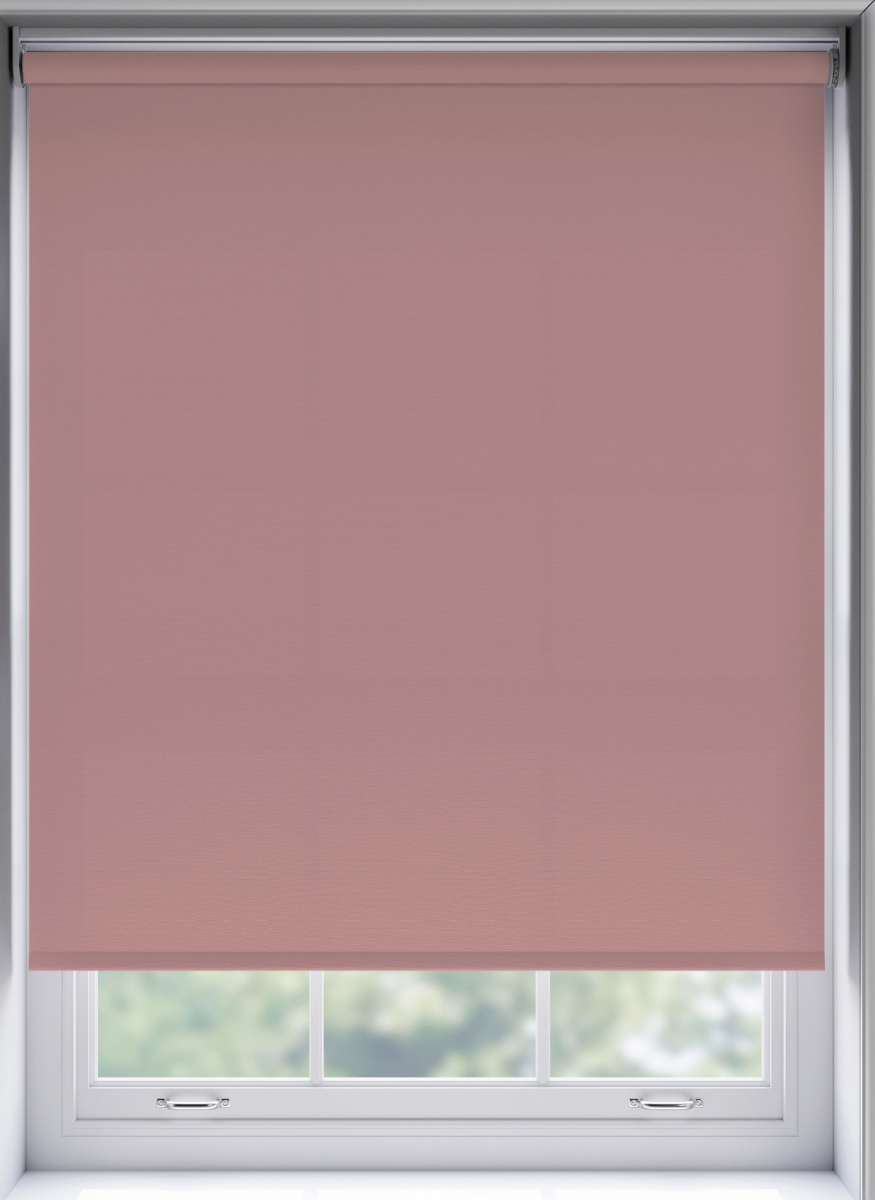 Splash Bossa - Image 2