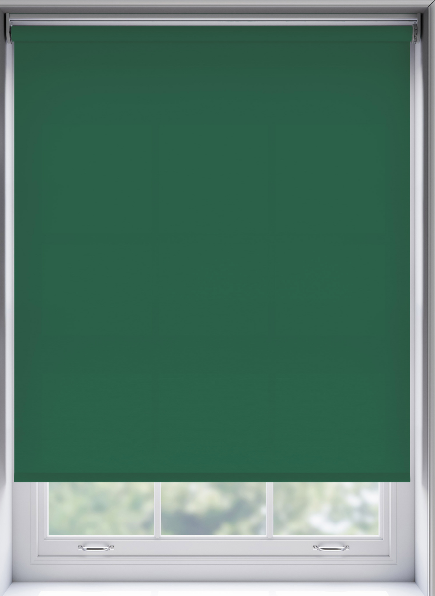 Splash Cacti - Image 2