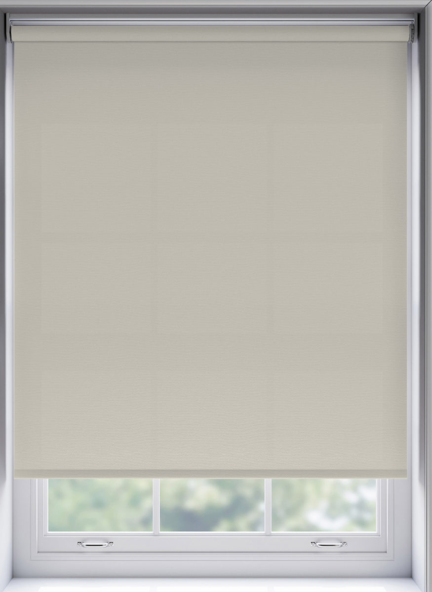 Splash Oyster - Image 2