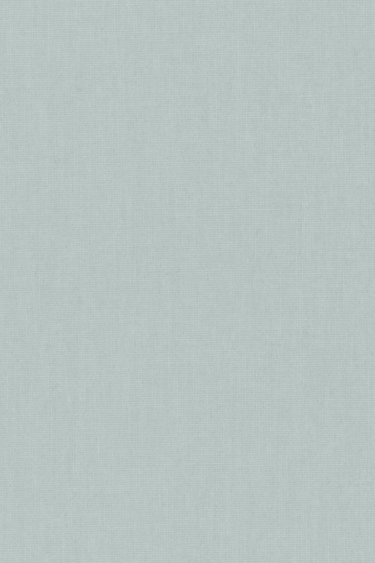 Splash Duck Egg - Image 2