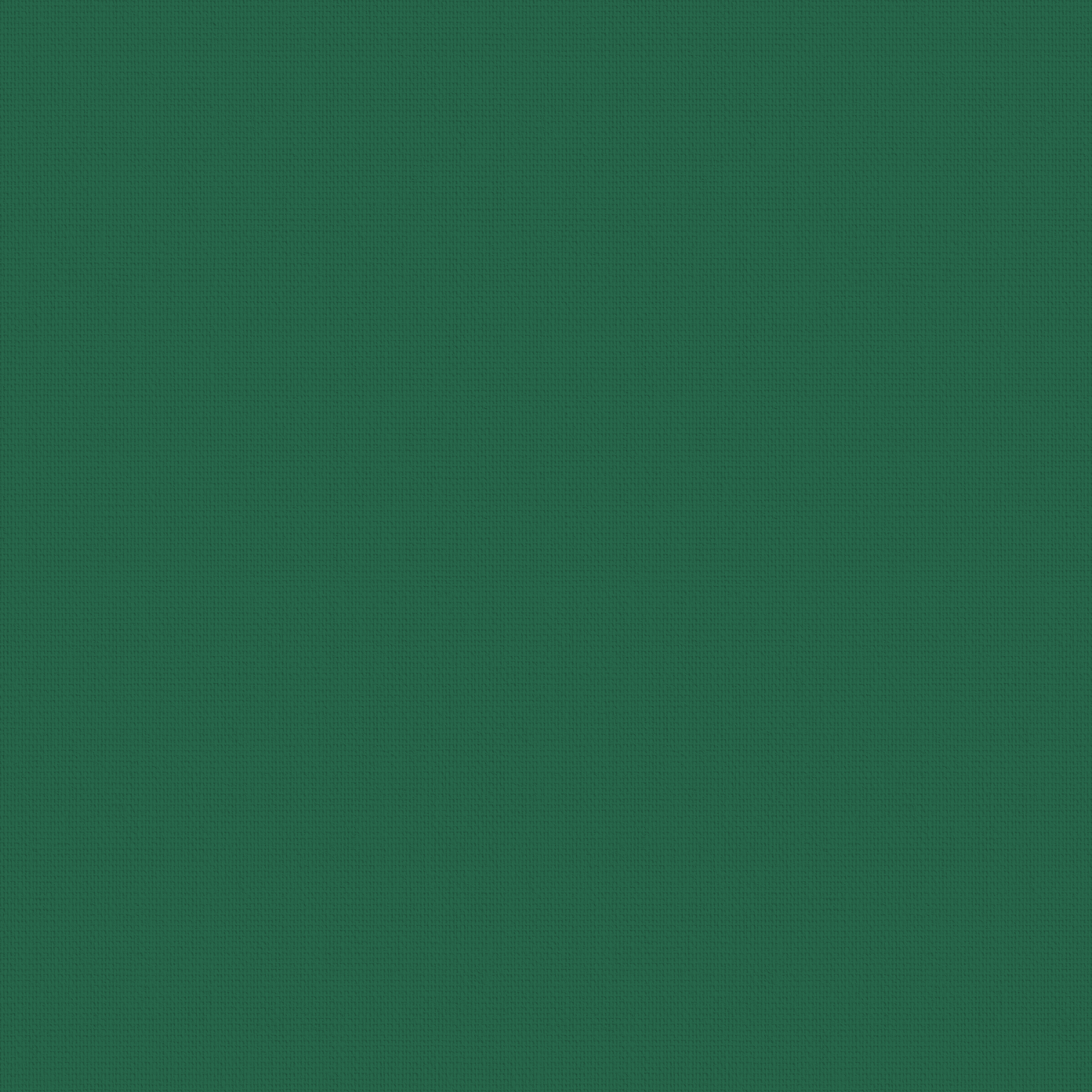 Splash Cacti - Image 2