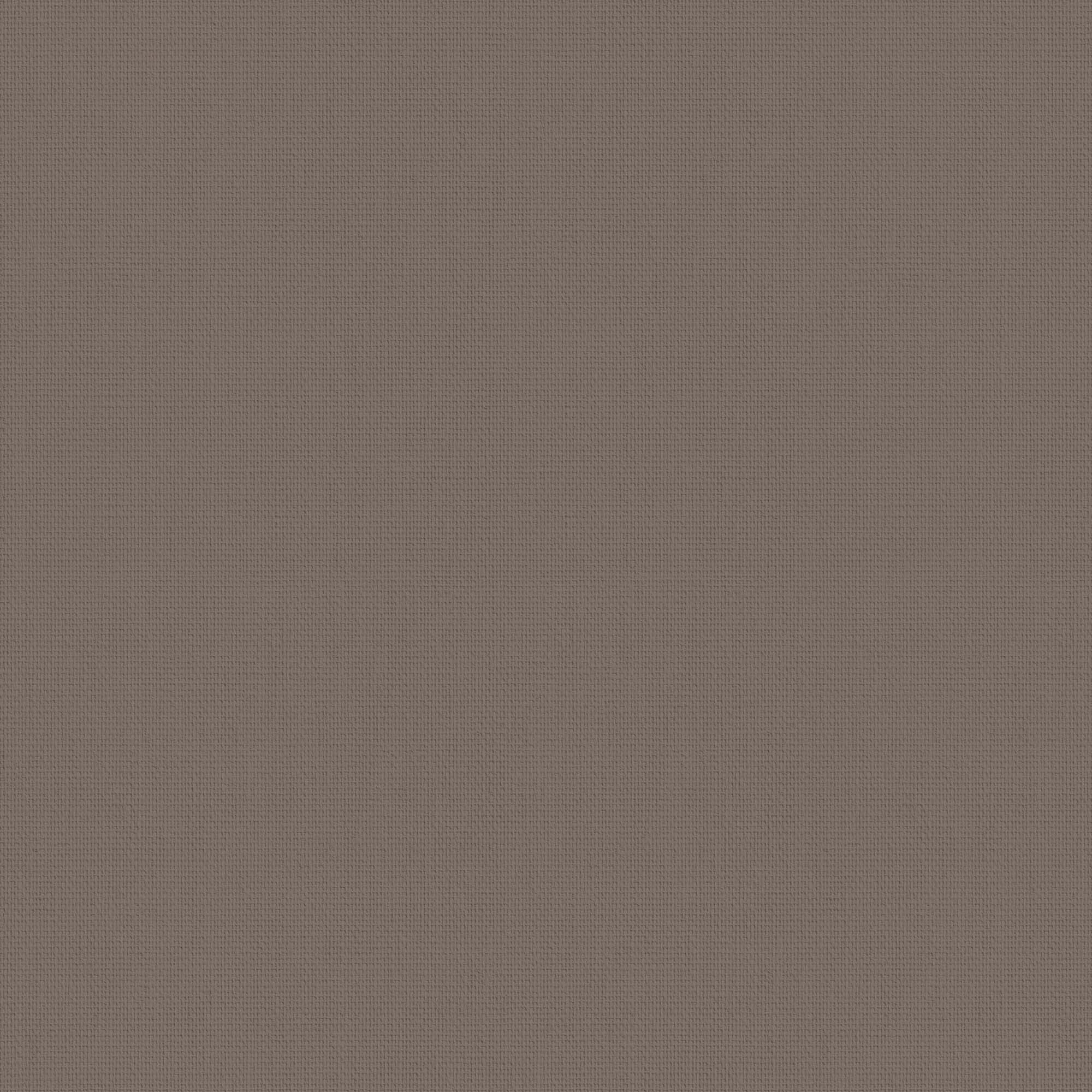 Splash Havana - Image 2