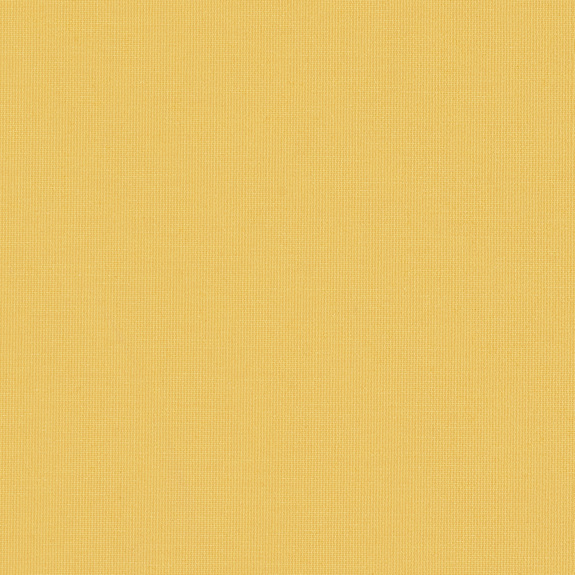 Splash Shine - Image 2