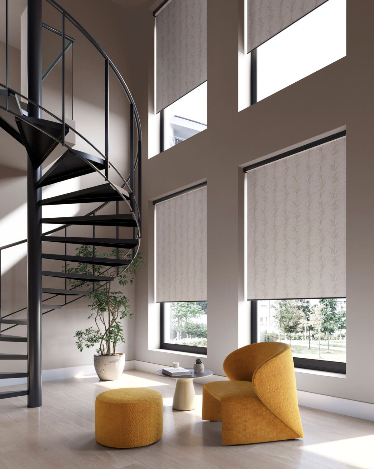 Treviso Pomelo - Image 2