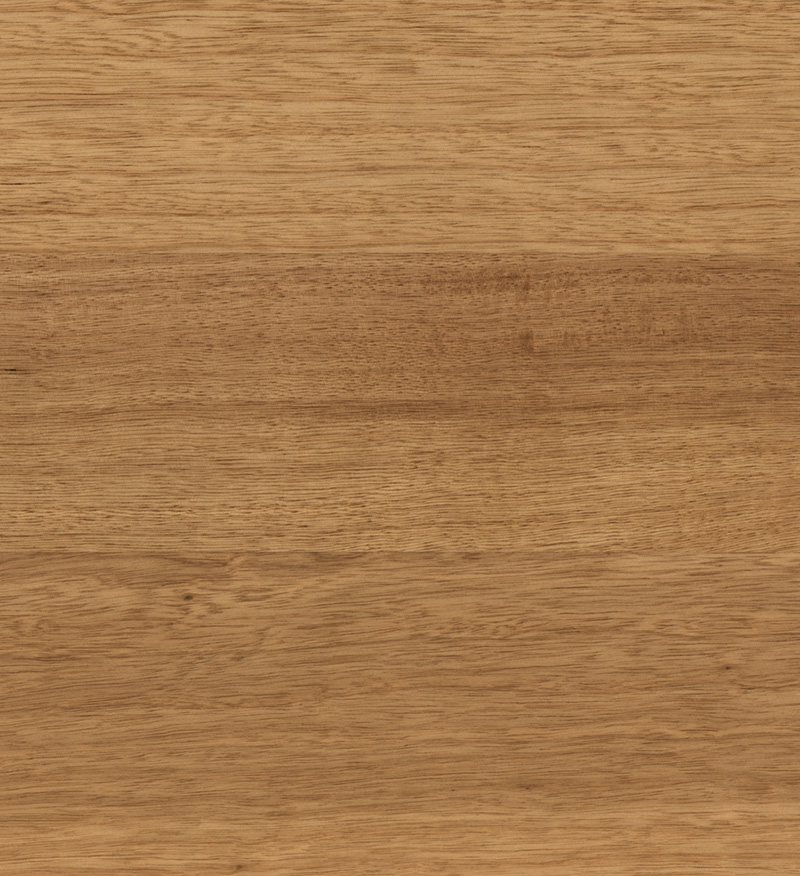 Tuscan Oak - Image 5